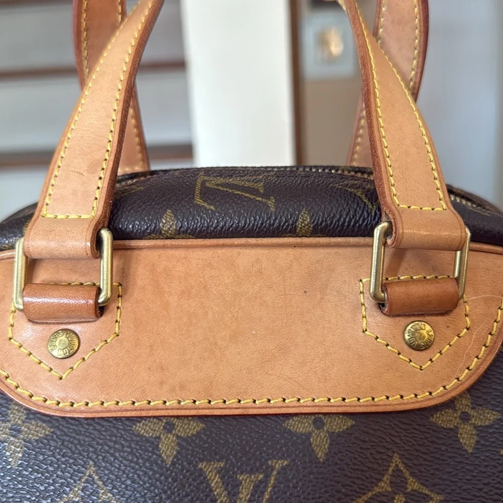 Louis Vuitton monogram excursion